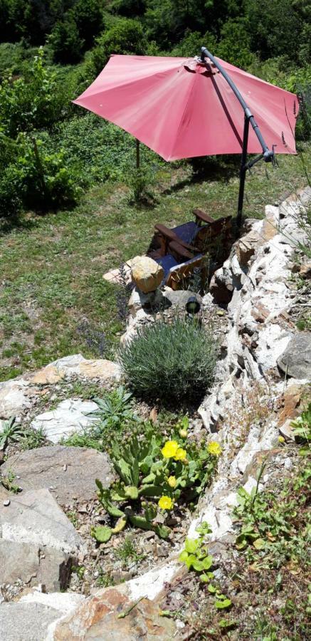 Gites Chez Daniel "Cevennes 1" Mars  Exteriér fotografie