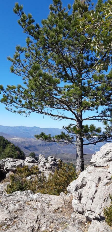 Gites Chez Daniel "Cevennes 1" Mars  Exteriér fotografie
